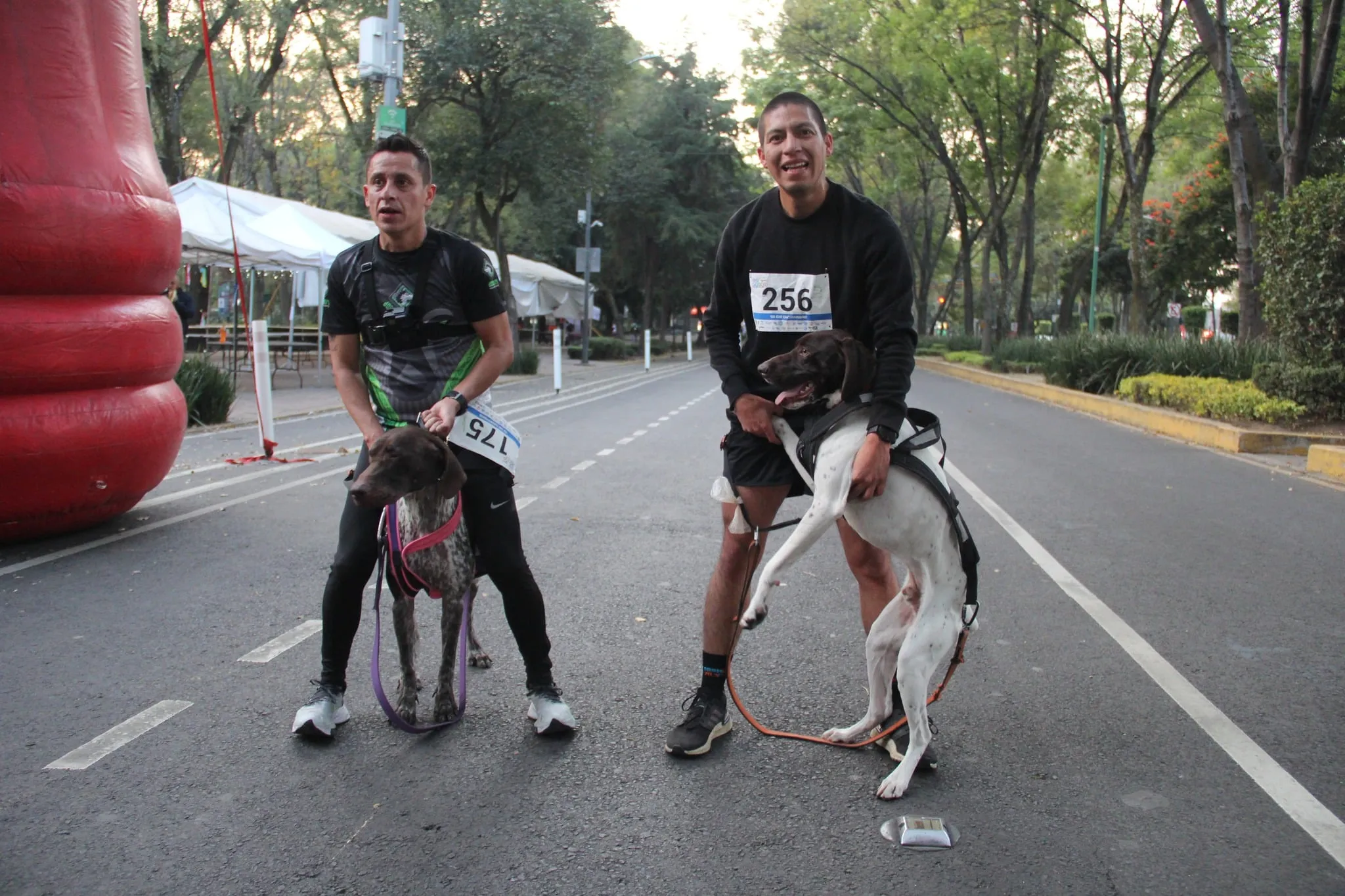 Corre y llega a la meta con tu peludo en el Dog Running CDMX