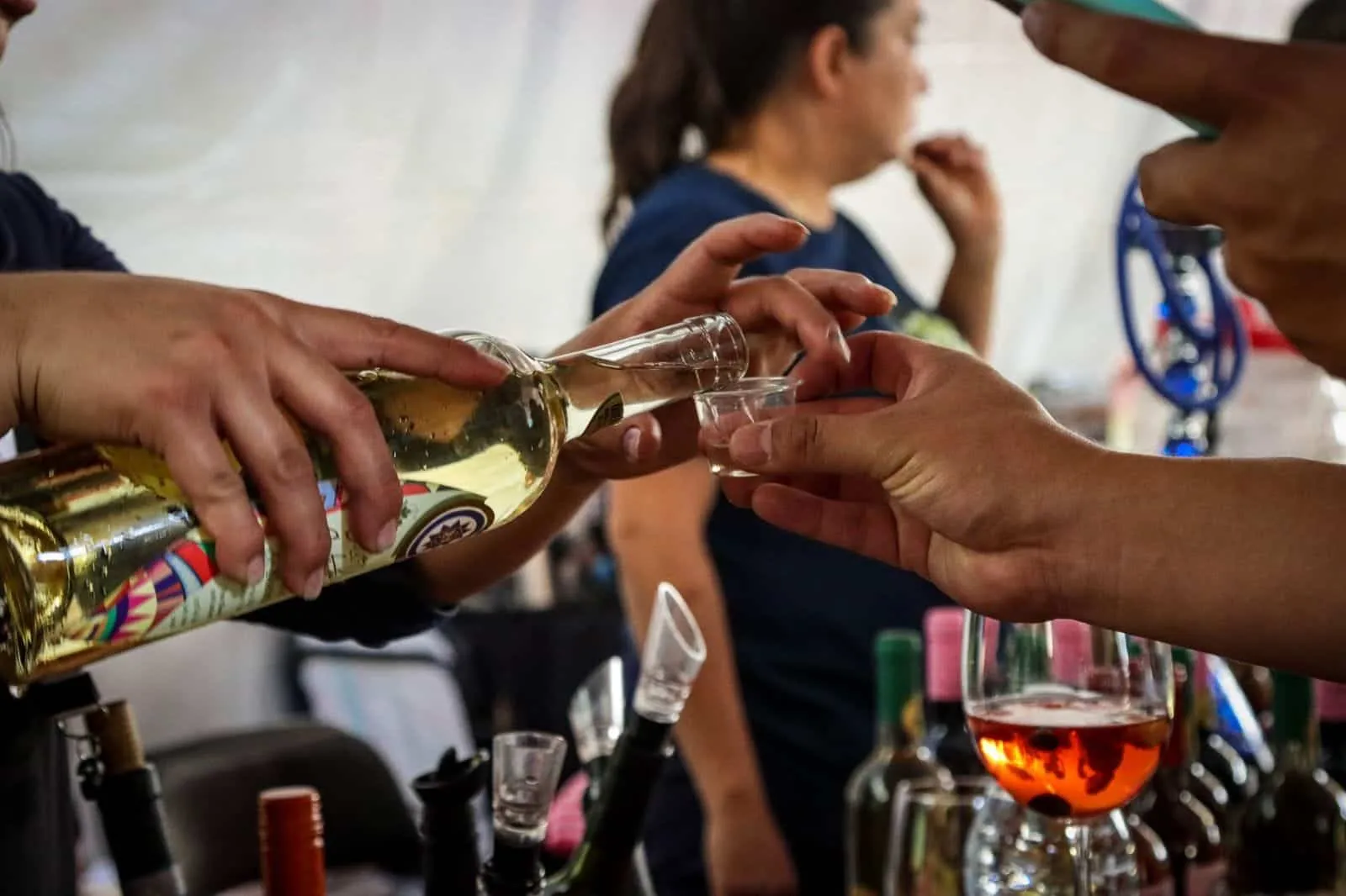 Sumérgete en el Festival Mezcal, Queso y Vino de Tepotzotlán