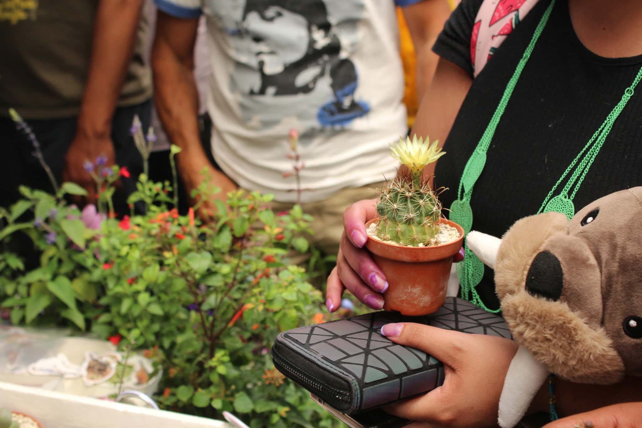 ¡Pon tu jardín súper ‘coquette’ con el Plant Fest!
