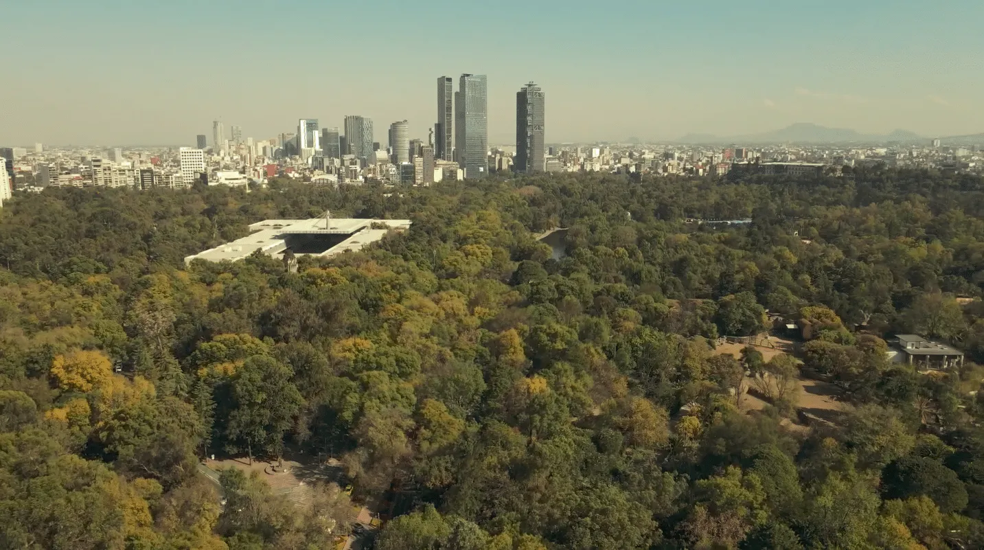 Actividades de marzo en el Bosque de Chapultepec