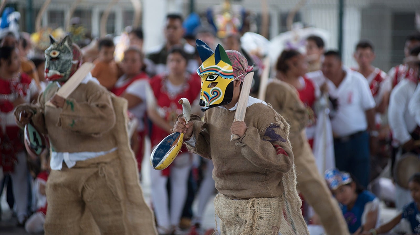 Danza de los Morenos en Colima