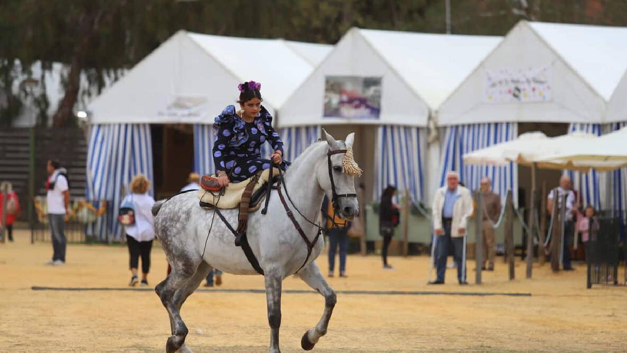 La Feria Internacional del Caballo Texcoco (FICT) es sin duda una de las más importantes del país, al igual que la Feria de San Marcos en Aguascalientes, y la de León, en Guanajuato.