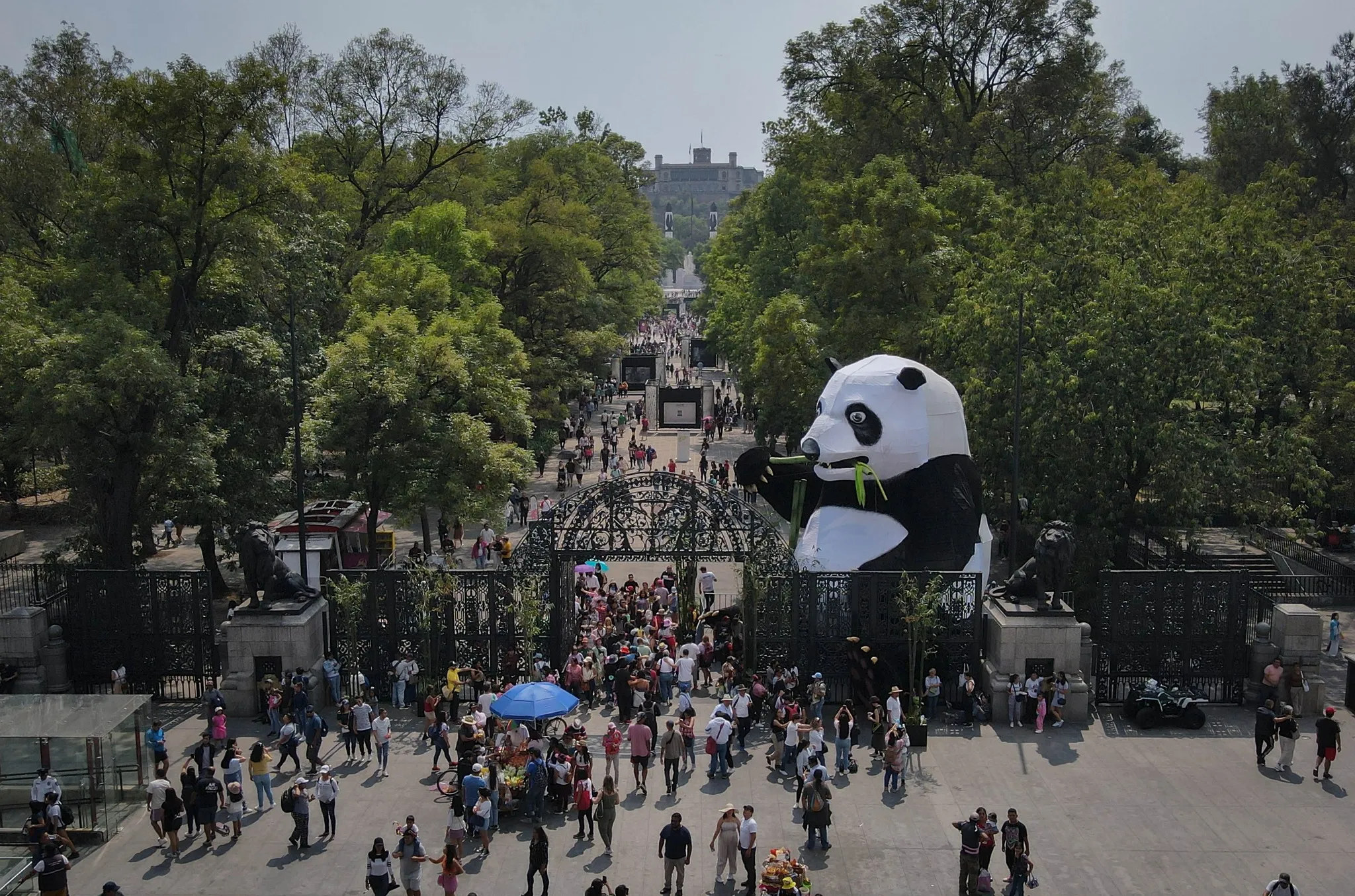 Quiróptera: Festival del Bosque de Chapultepec