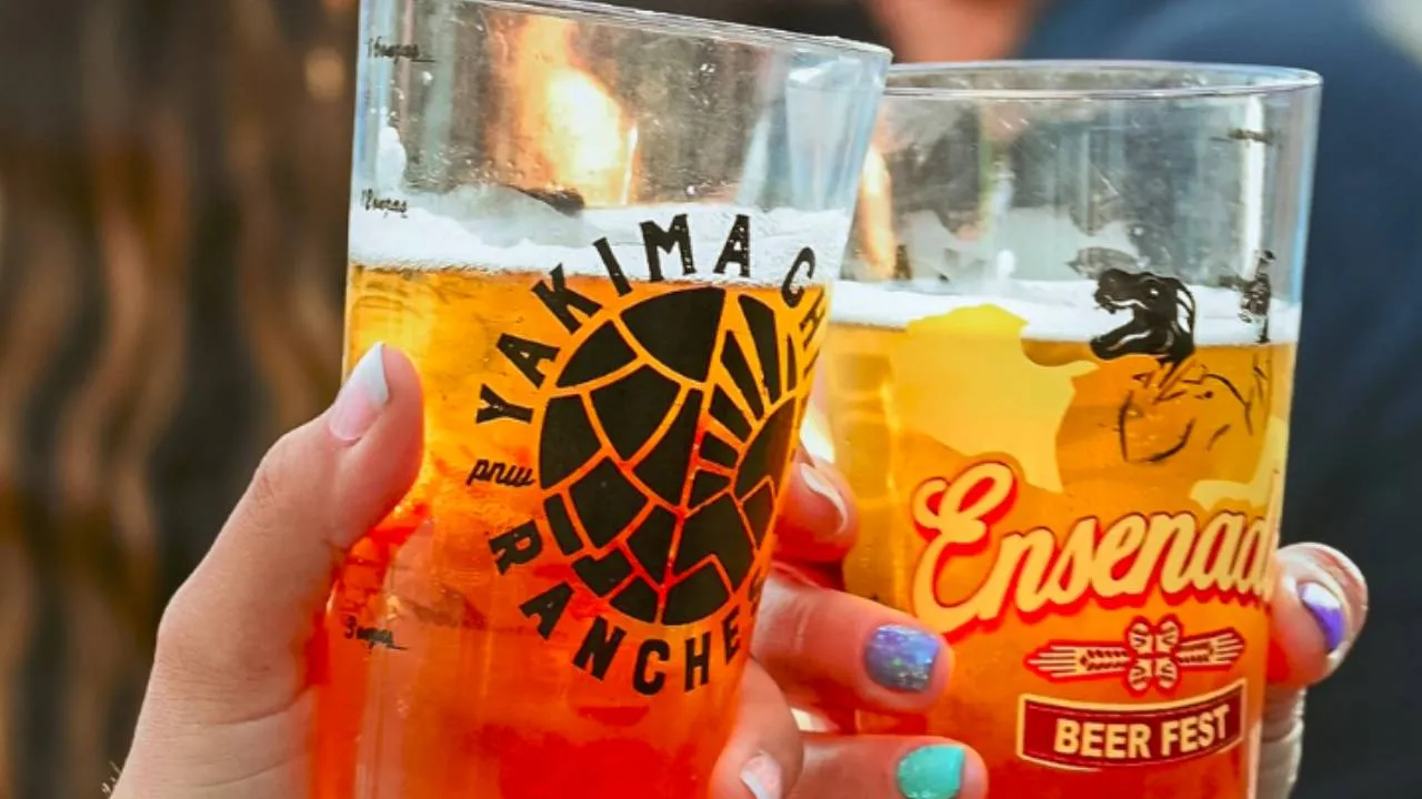 Disfruta del Ensenada Beer Fest el próximo fin de semana