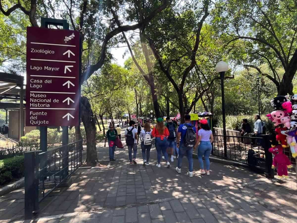 Actividades este fin de semana en el Bosque de Chapultepec