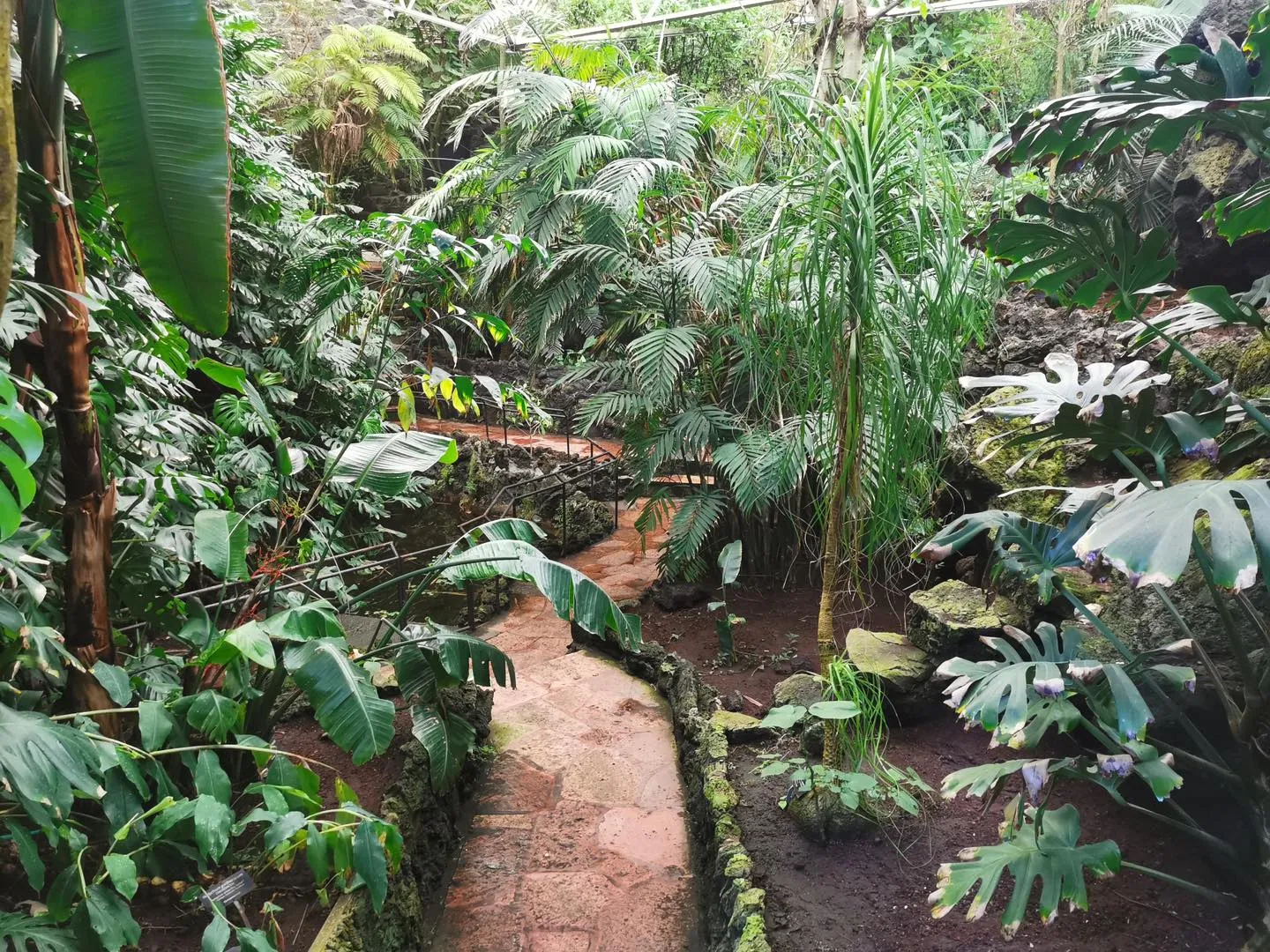 La UNAM celebrara el Día Nacional de los Jardines Botánicos