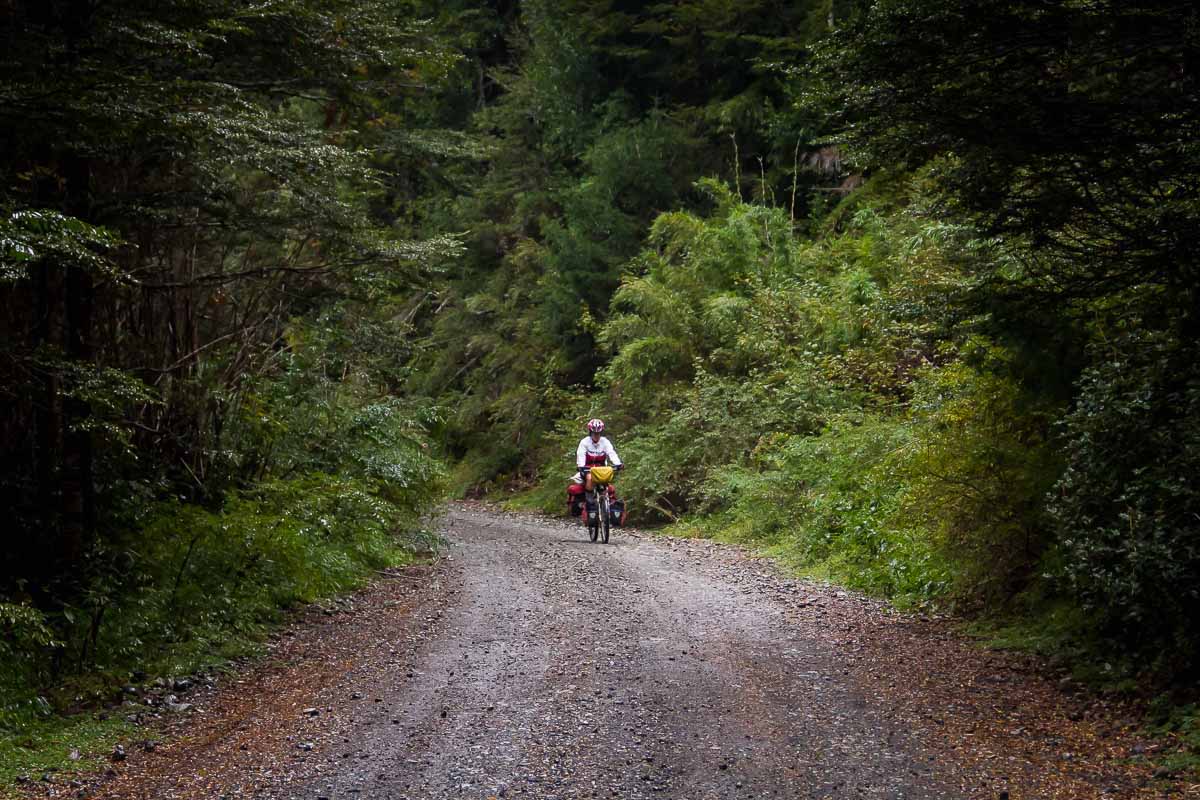 Festeja el Día de la Bicicleta en estas ciclopistas