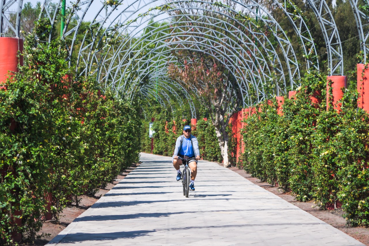 Festeja el Día de la Bicicleta en estas ciclopistas