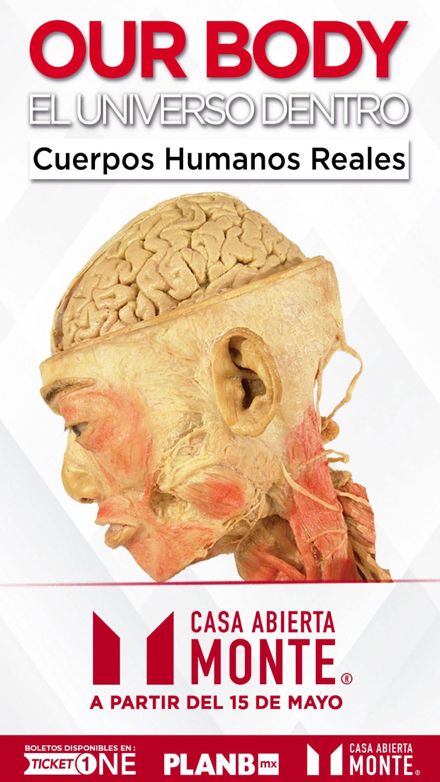 exposición our body