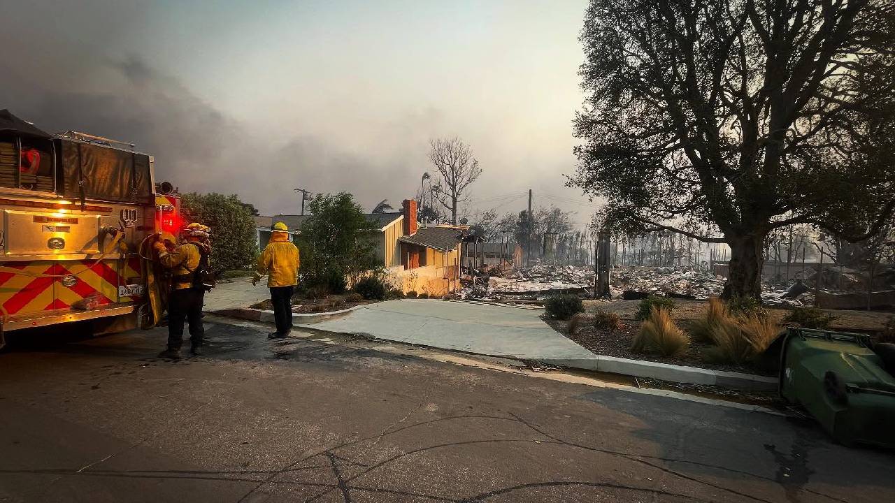 Cómo prevenir incendios forestales es información importante que todos debemos conocer. Aquí una lista de las cosas que no debes hacer.