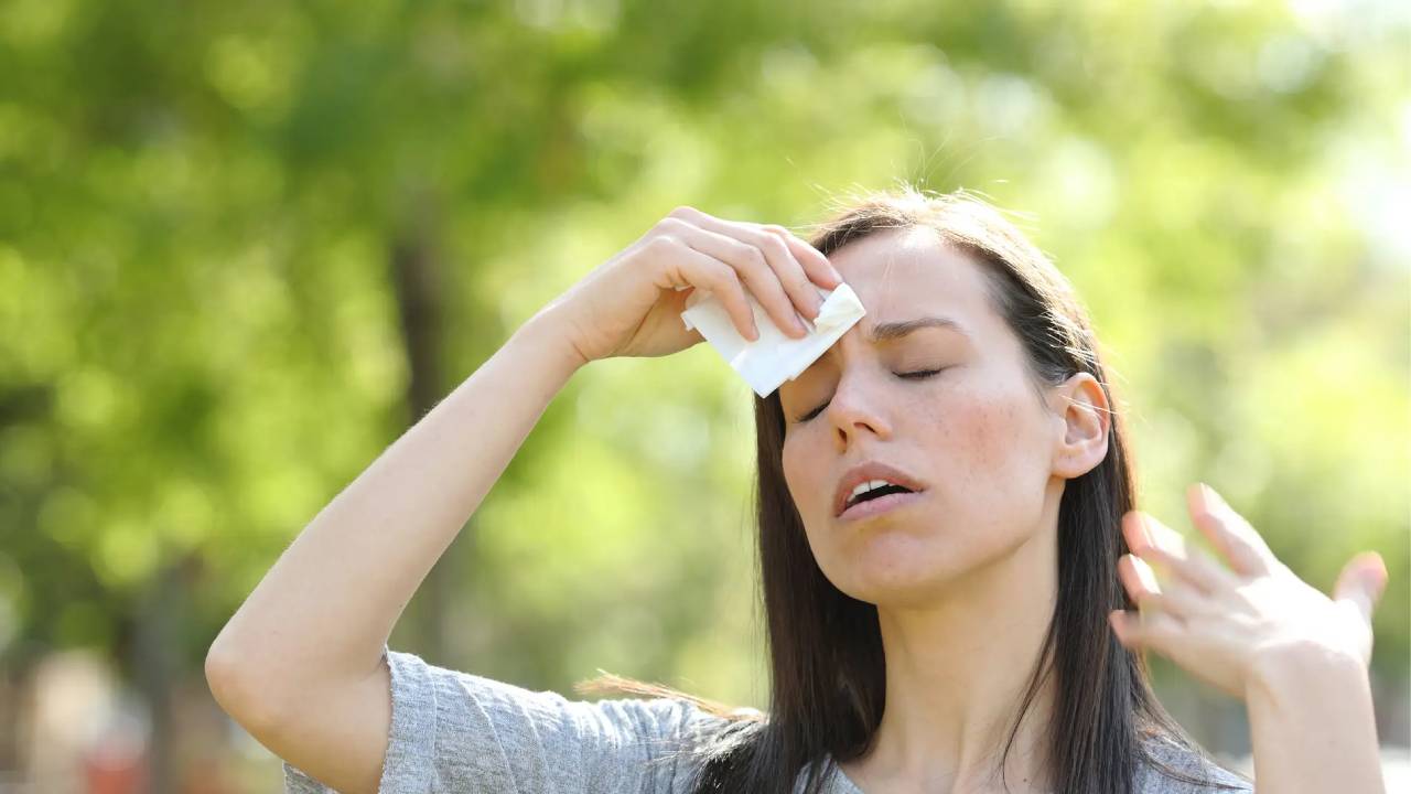 Una onda de calor es un periodo en el que las temperaturas son mucho más altas de lo normal para la época del año y la región.