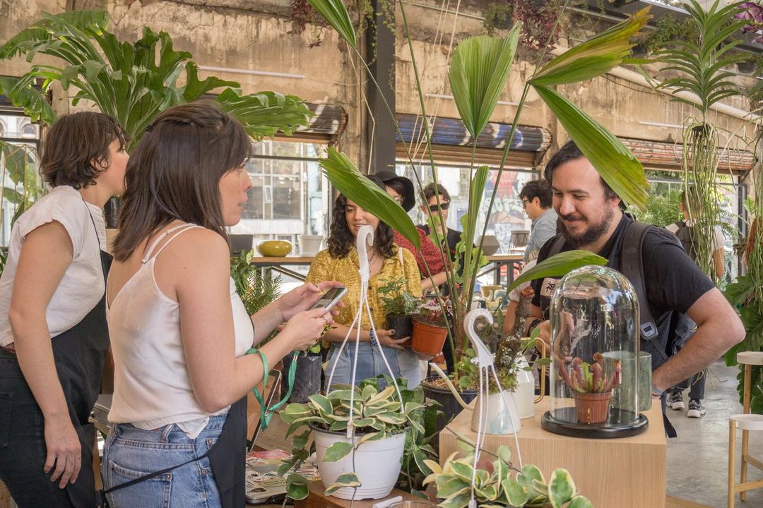 Casa Botánica: Un encuentro de naturaleza en la CDMX