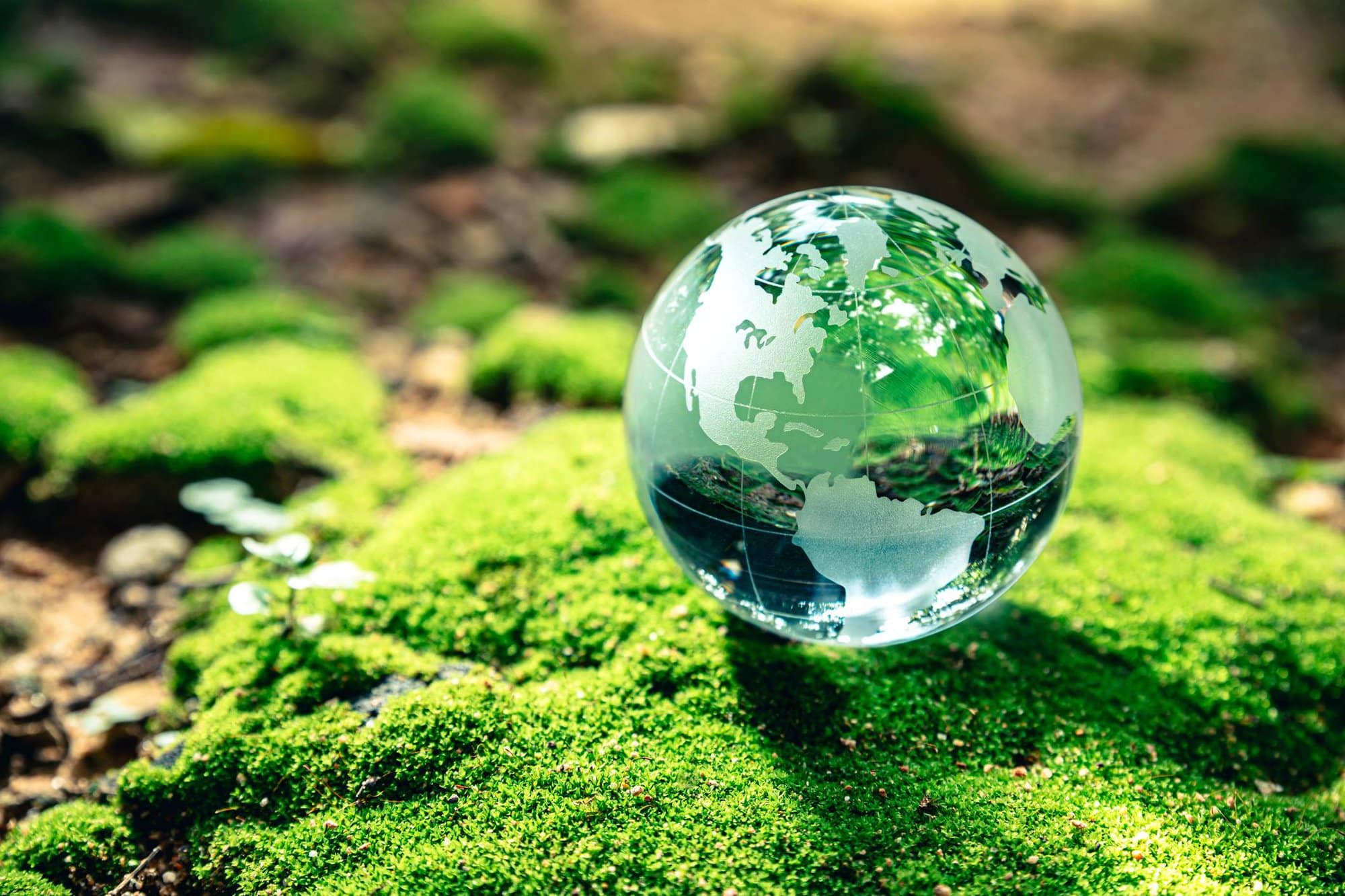 Día Mundial del Medio Ambiente, cuando y por que se celebra