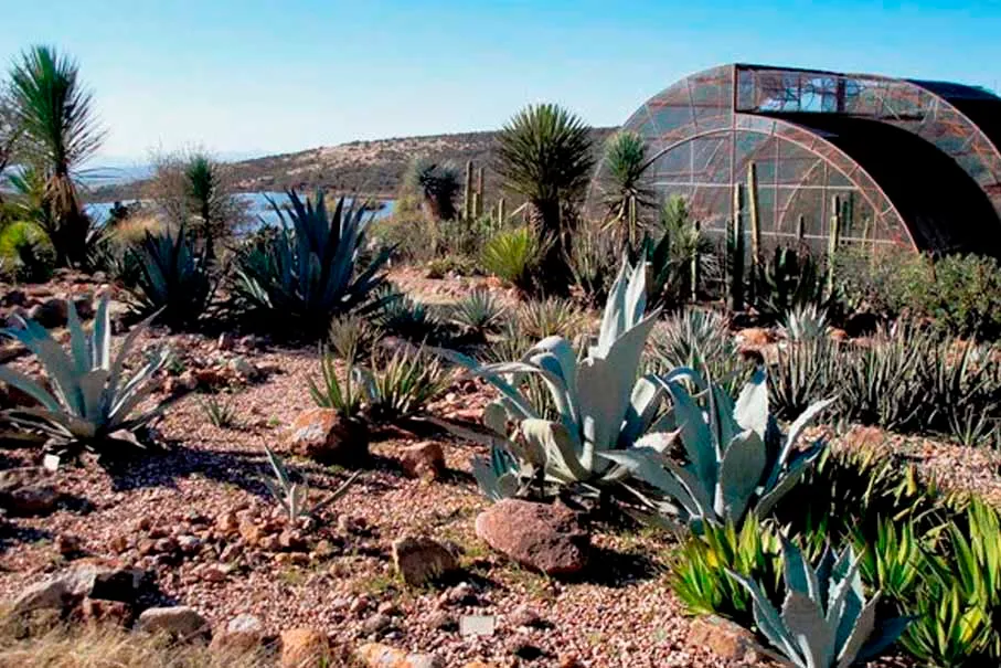 San Miguel de Allende