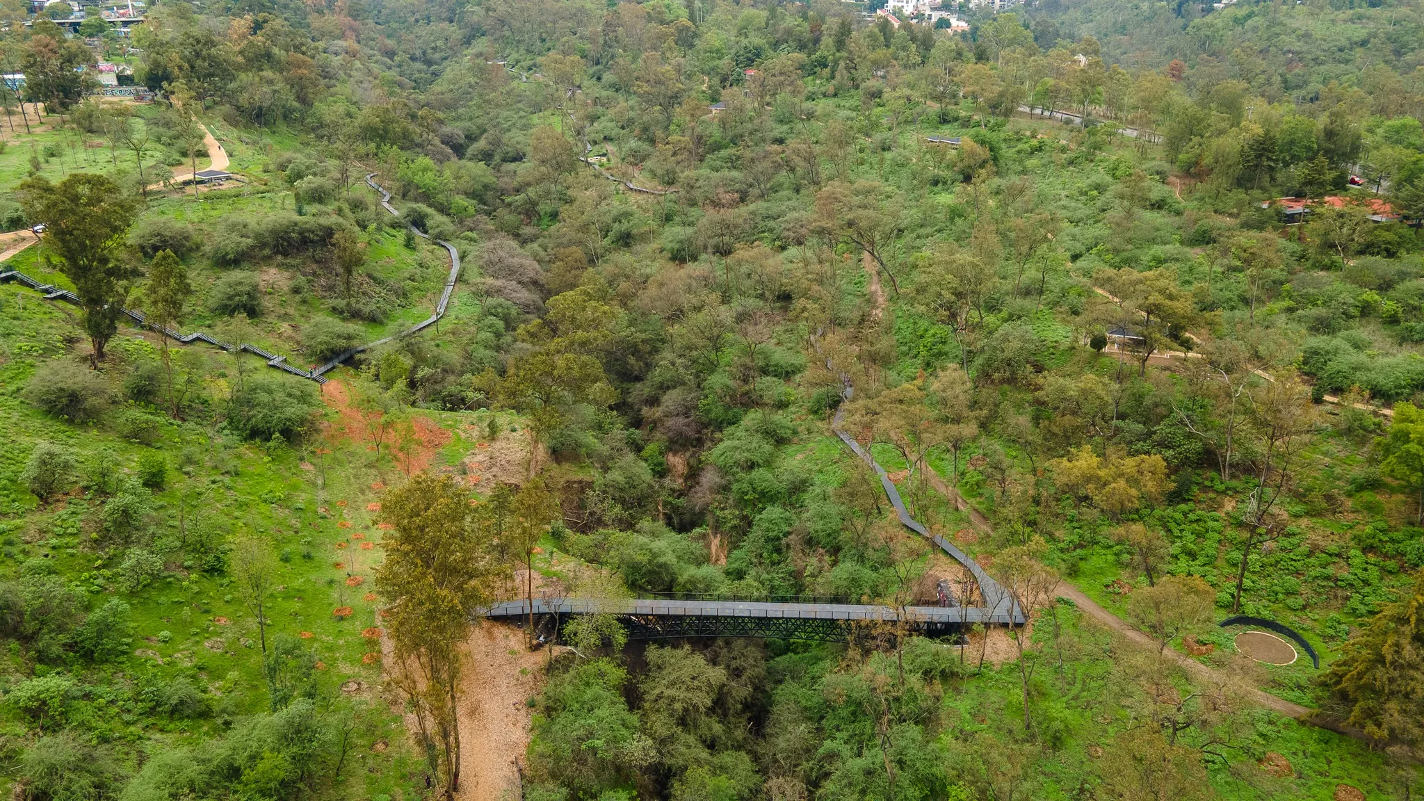 Estas son las nuevas reglas del bosque de Chapultepec