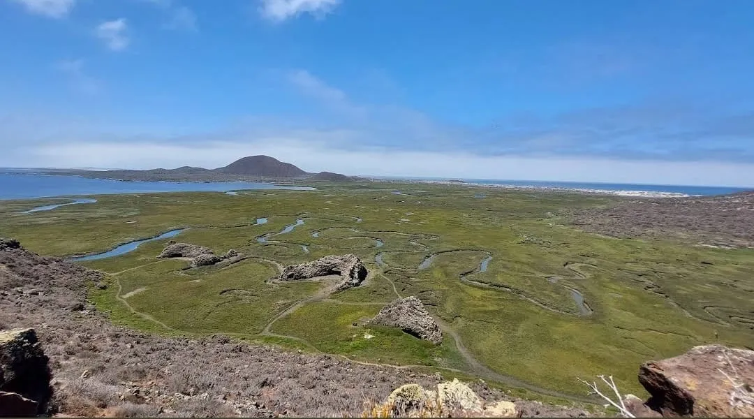 Humedales de San Quintin