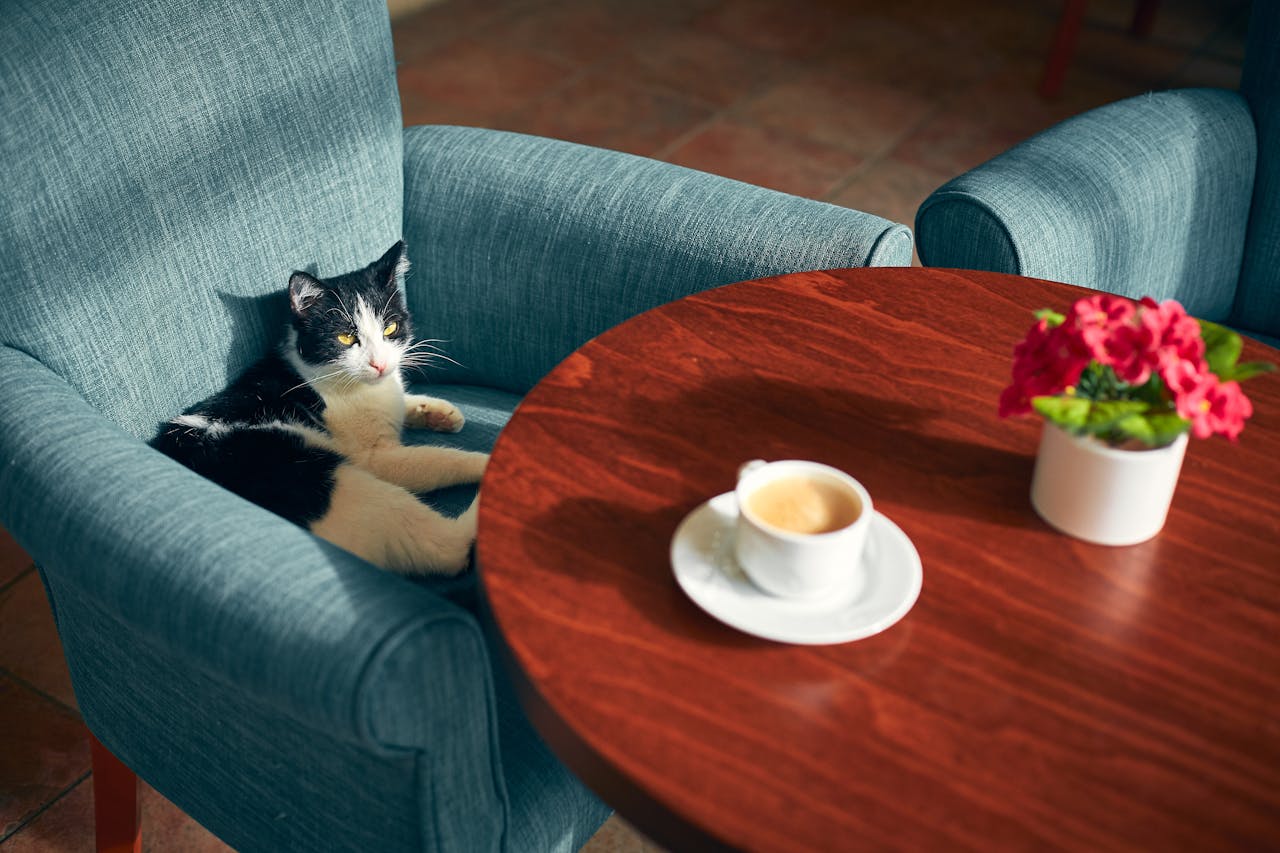 mitsu' café