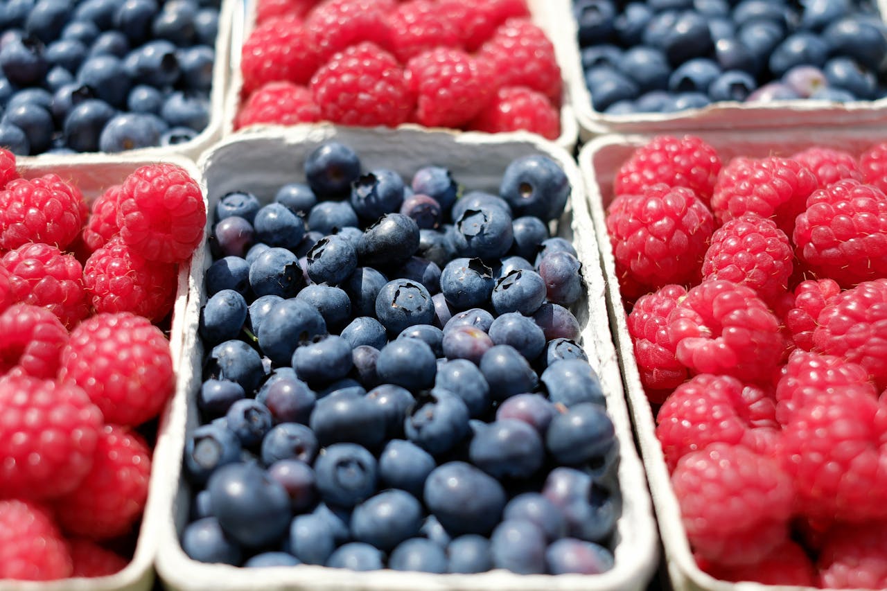 berries Jalisco