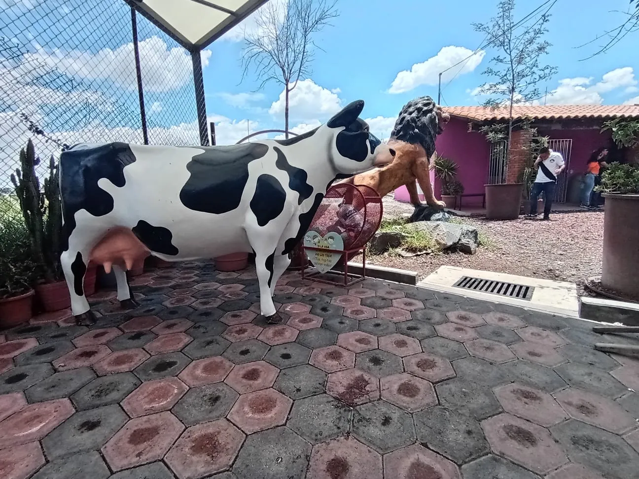 En el municipio de Tecámac, en el Estado de México, se localiza Ranchito S, un punto de encuentro para que familias, amigos, y parejas, vengan a disfrutar los fines de semana.