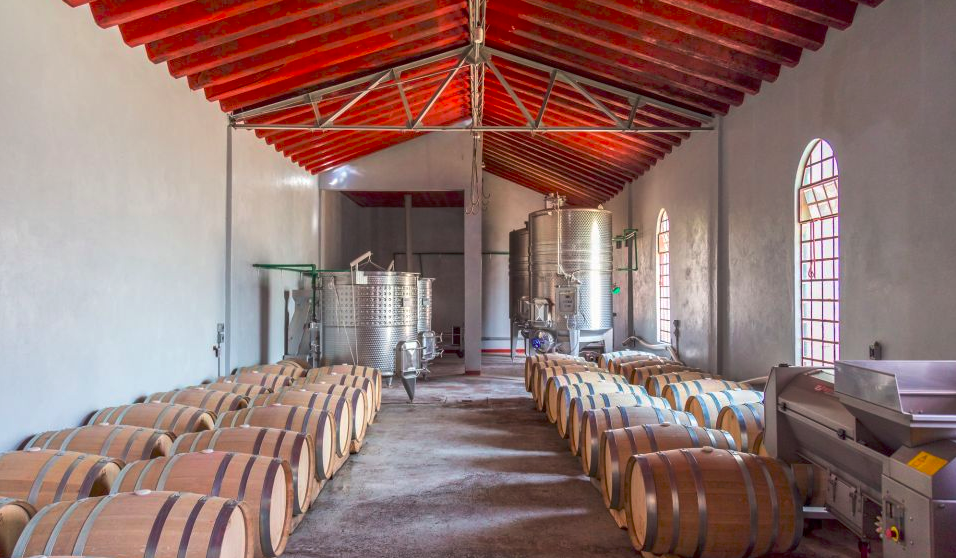 Tour por viñedos Tour por viñedos