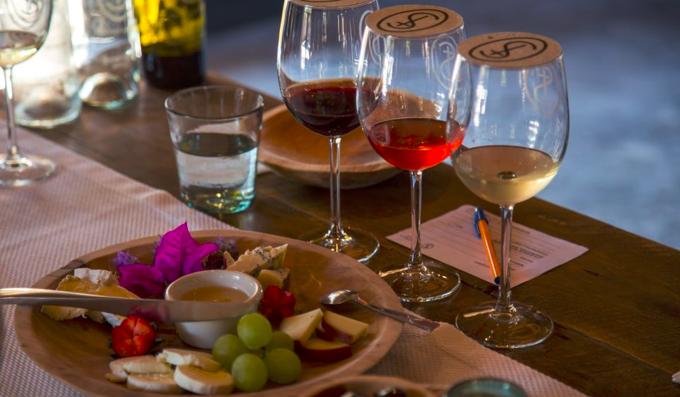 Tour por viñedos Tour por viñedos