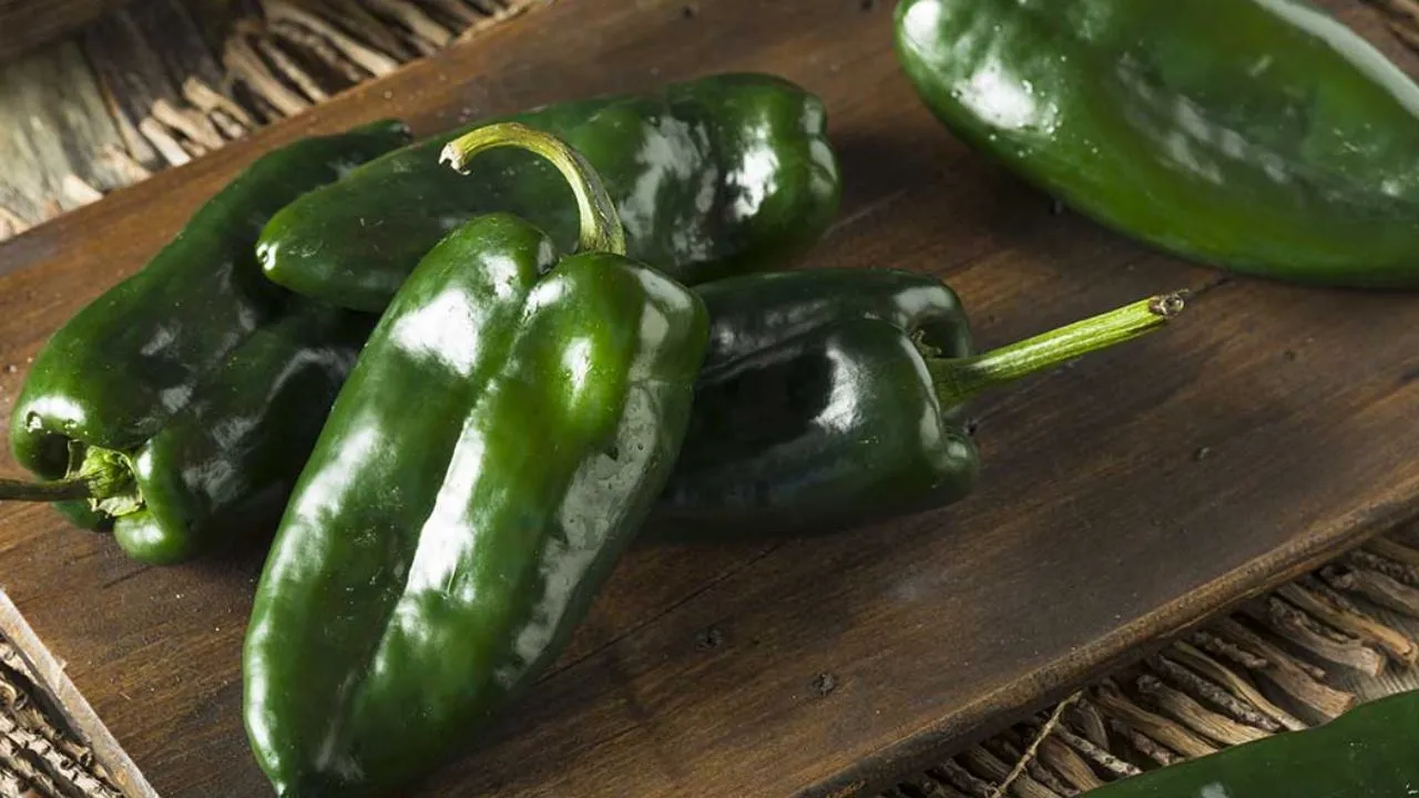¿Cómo identificar un chile poblano mexicano y uno chino o pirata?