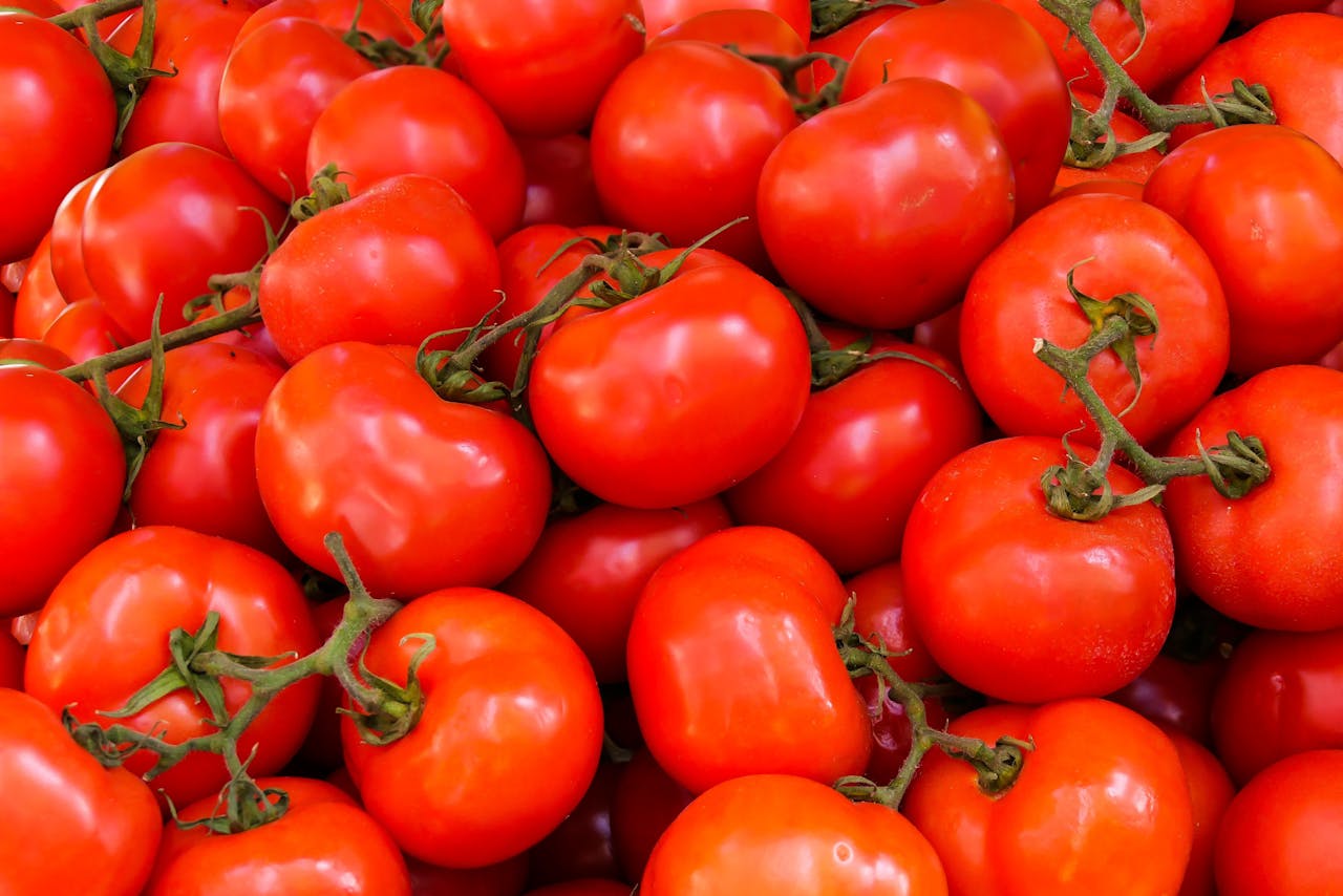 Tomatón Fest