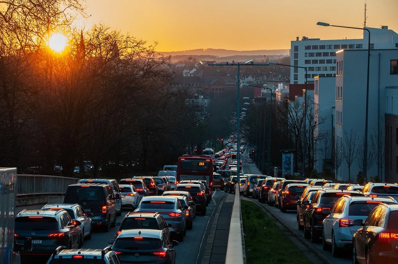 licencia para conducir permamente