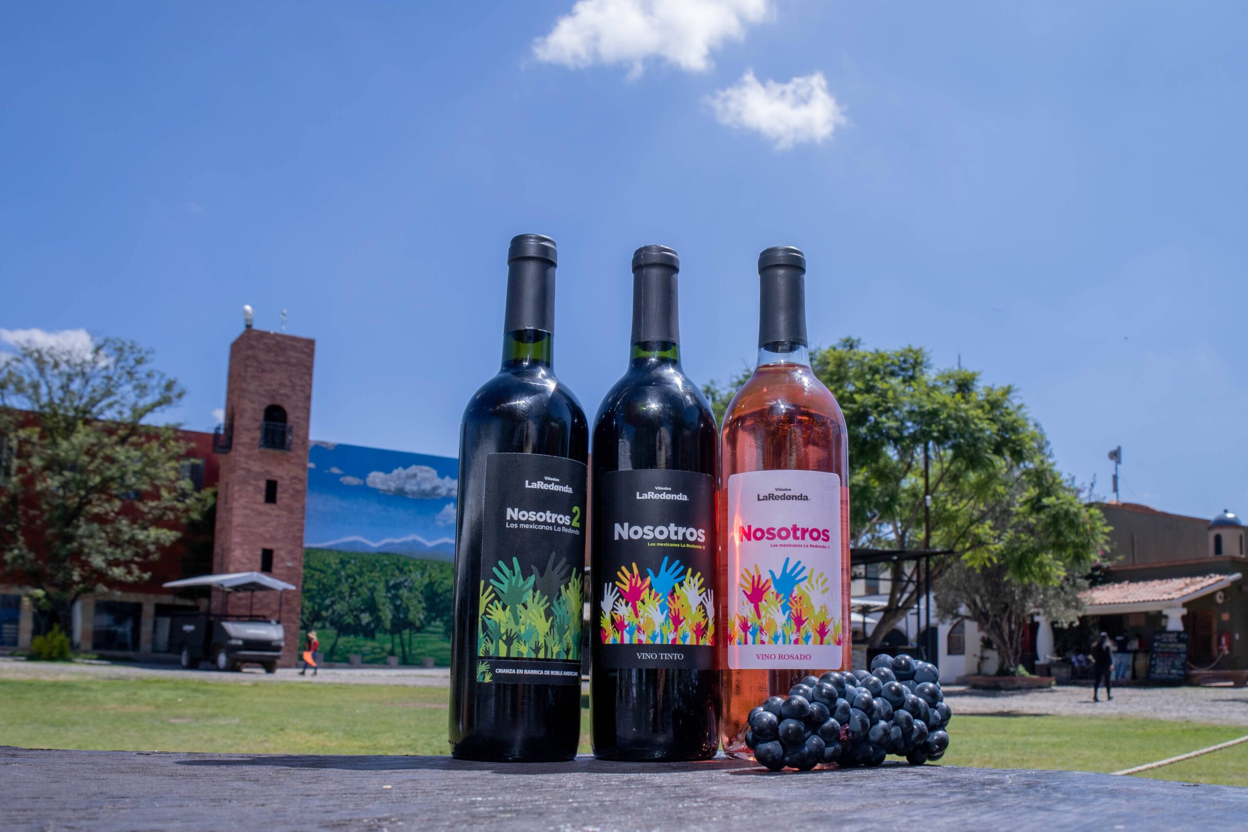 Vinos La Redonda