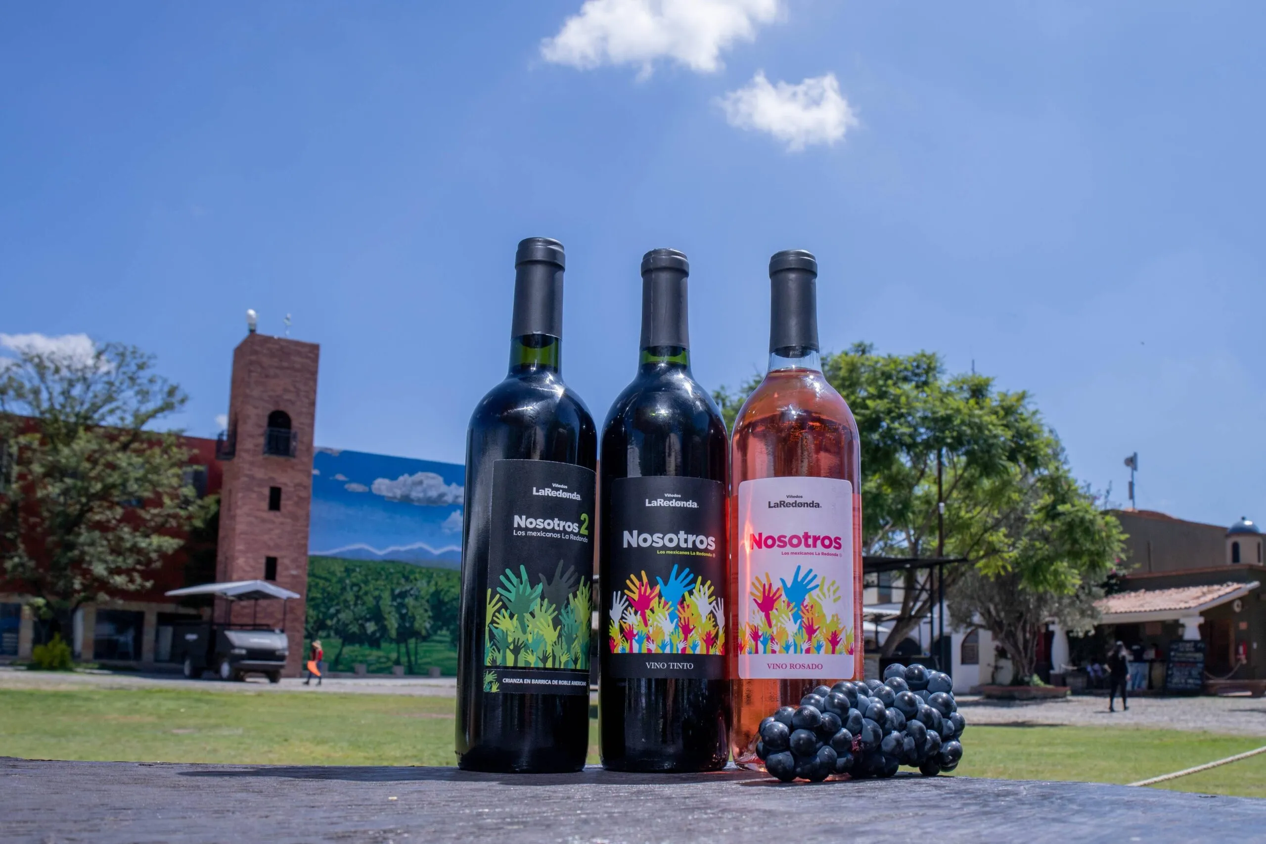 Vinos La Redonda