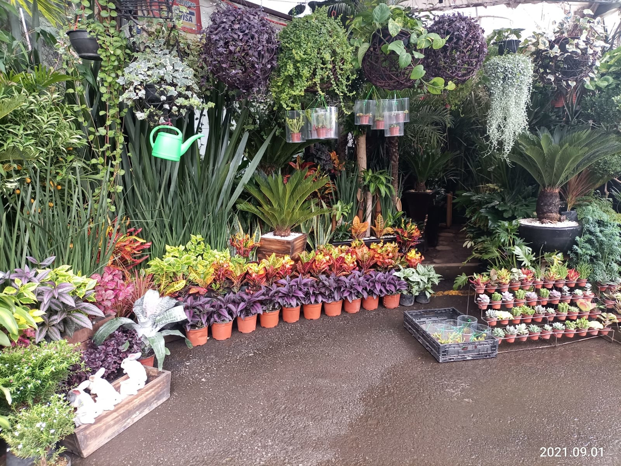 mercados de flores Xochimilco