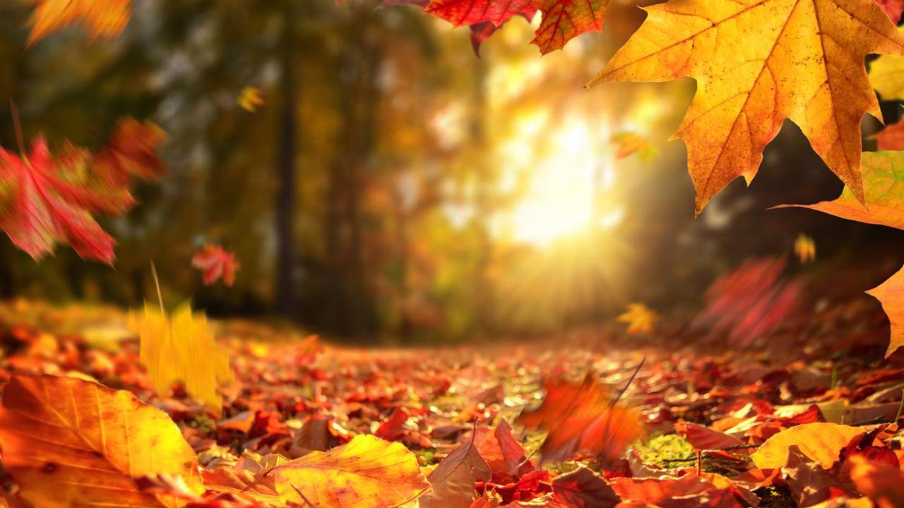 Equinoccio de Otoño: Un evento astronómico único