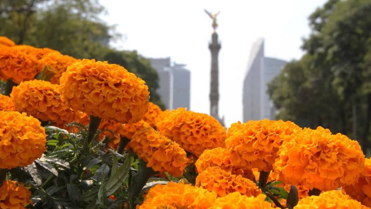 No te pierdas de estas actividades de otoño en la CDMX