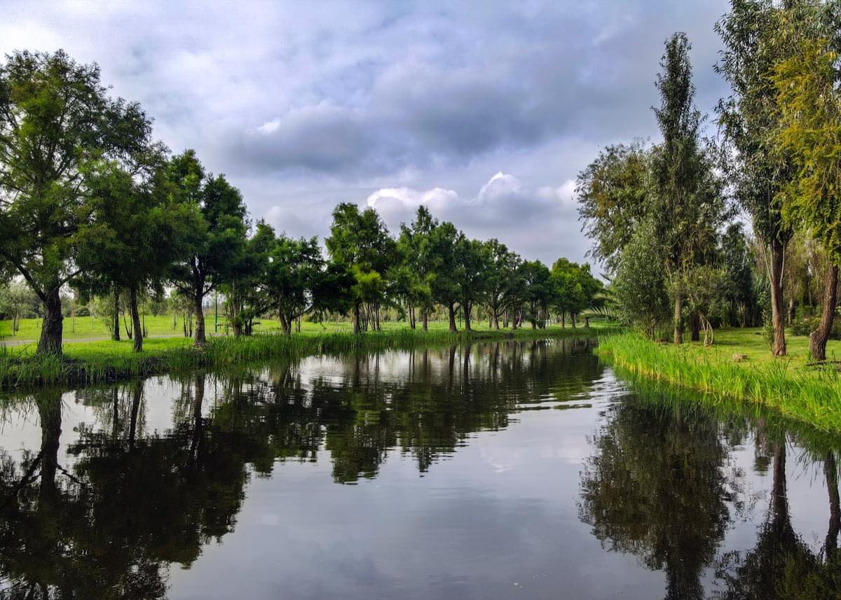 Ya te hemos contado sobre el Convento de San Bernardino de Siena, joya histórica de Xochimilco, y sobre la experiencia del kayak, una experiencia única y natural que puedes practicar en este lugar. Hoy queremos contarte sobre el Parque Ecológico de Xochimilco.