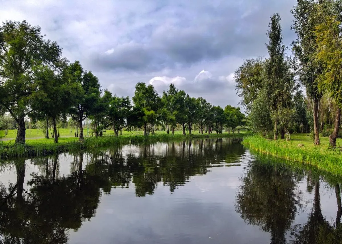 Ya te hemos contado sobre el Convento de San Bernardino de Siena, joya histórica de Xochimilco, y sobre la experiencia del kayak, una experiencia única y natural que puedes practicar en este lugar. Hoy queremos contarte sobre el Parque Ecológico de Xochimilco.