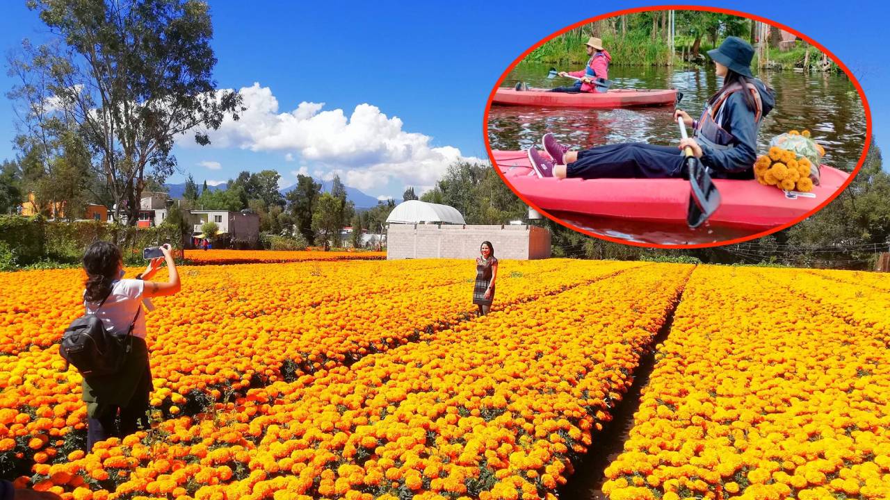 Ve los campos de cempasúchil con los recorridos en kayak de Xochimilco