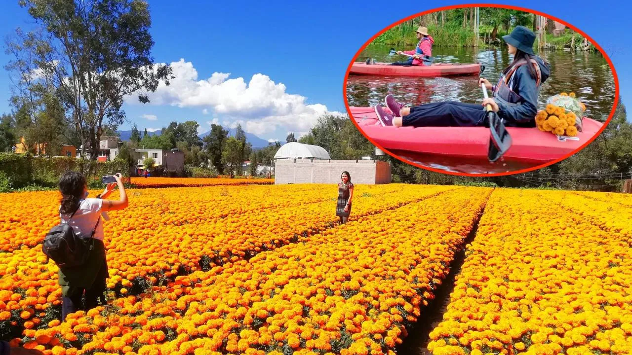 Ve los campos de cempasúchil con los recorridos en kayak de Xochimilco
