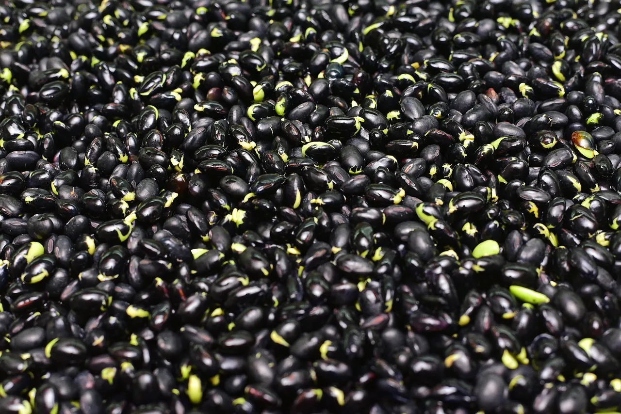 atole de frijol negro
