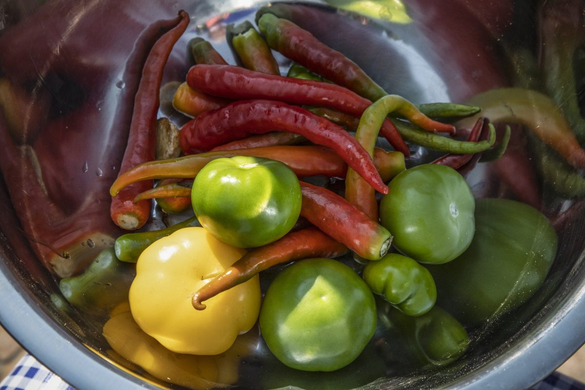 El Chile Chicuarote es una variedad de chile originario de Xochimilco, en la CDMX. Es conocido por su nivel de picor moderado y por eso en Descubre México hoy queremos contarte sobre él, para que lo conozcas, lo consumas, y le cuentes a tus amigos y conocidos sobre él.