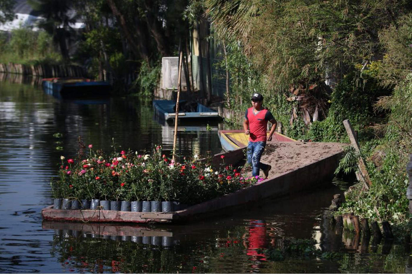 Seguro que alguna vez te has preguntado qué son las Chinampas de Xochimilco, y esta ocasión en Descubre México queremos hablarte sobre ello.