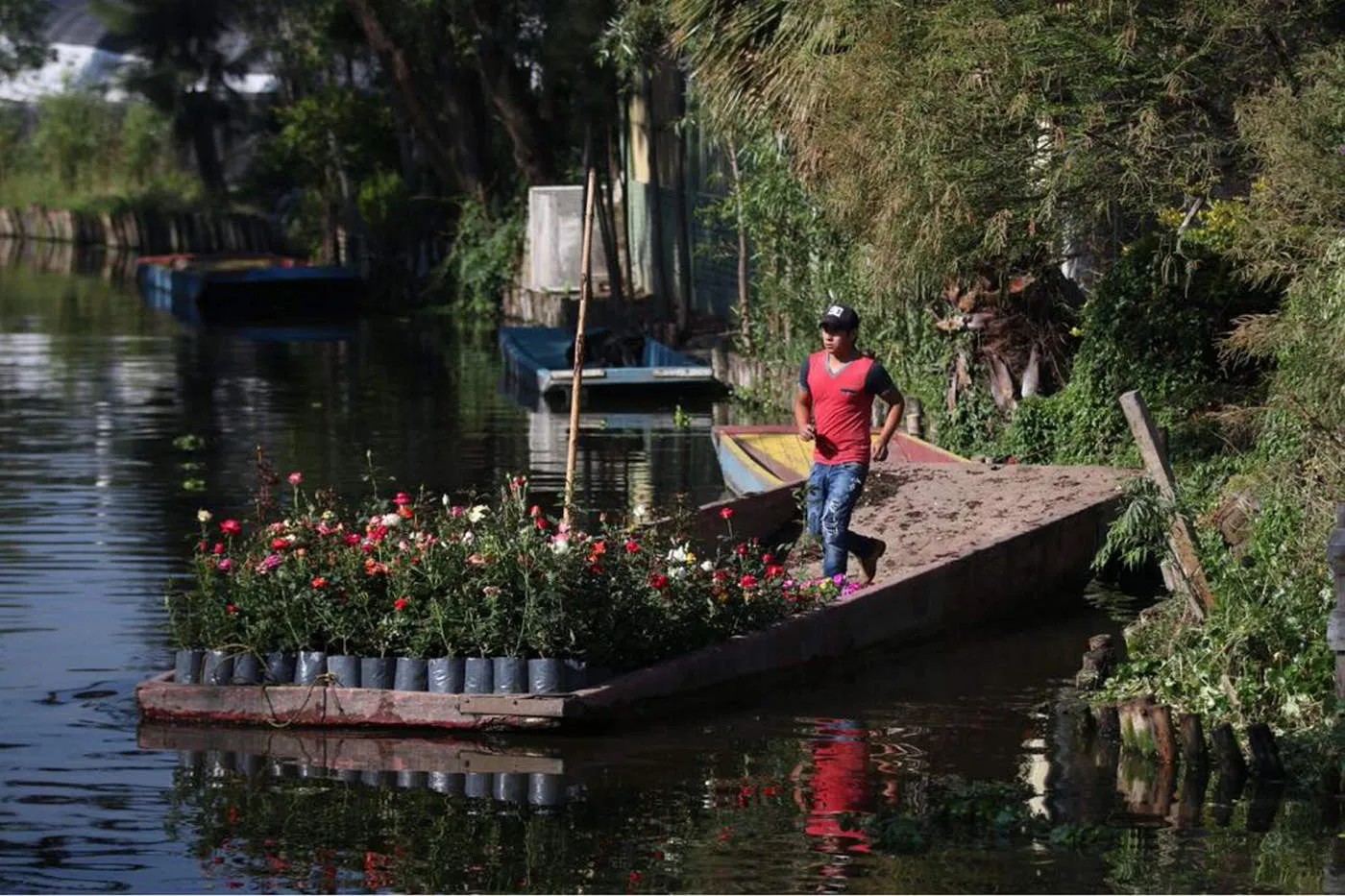 Seguro que alguna vez te has preguntado qué son las Chinampas de Xochimilco, y esta ocasión en Descubre México queremos hablarte sobre ello.