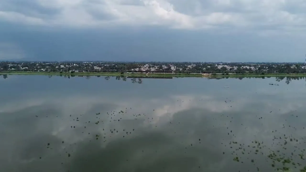 Tras una larga sequía que hizo sufrir al Estado de México, finalmente las lluvias de esta temporada revivieron la Laguna de Zumpango, por lo que en Descubre México.