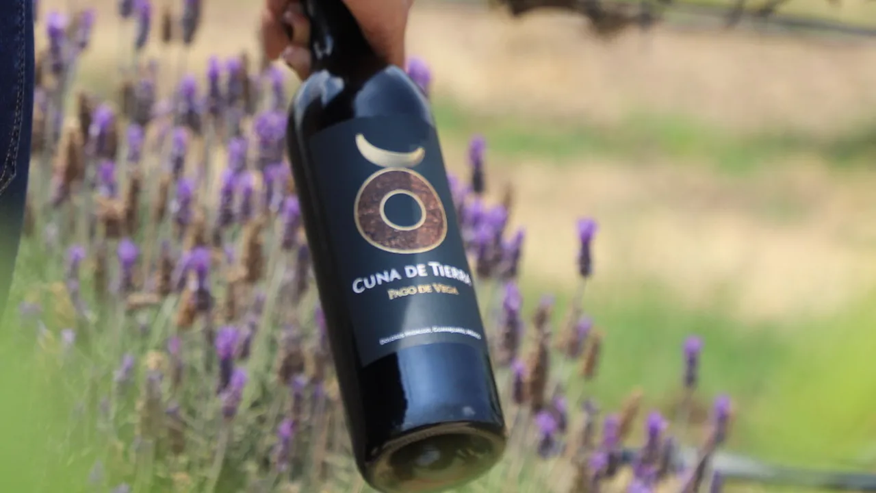 Botella de vino