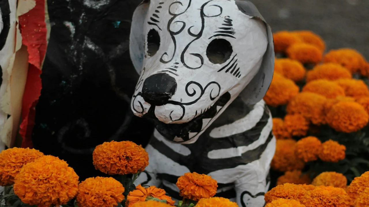 Ofrenda para mascotas: ¿qué día es y qué le puedo poner?