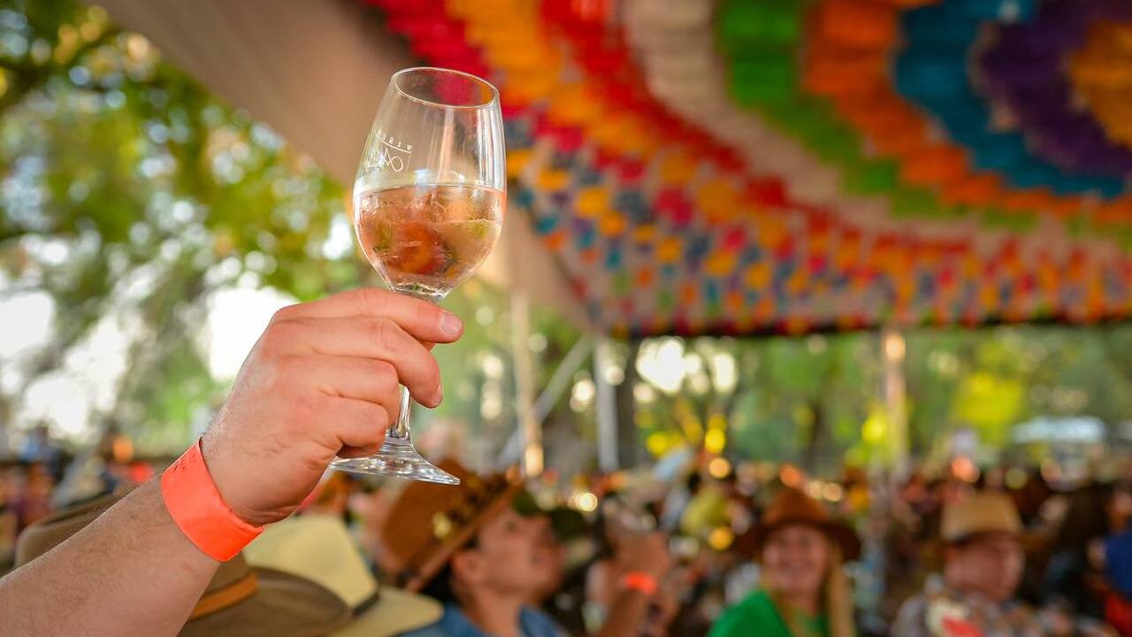 Viñedos Azteca
