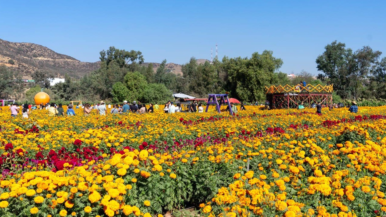 Ruta de las Flores