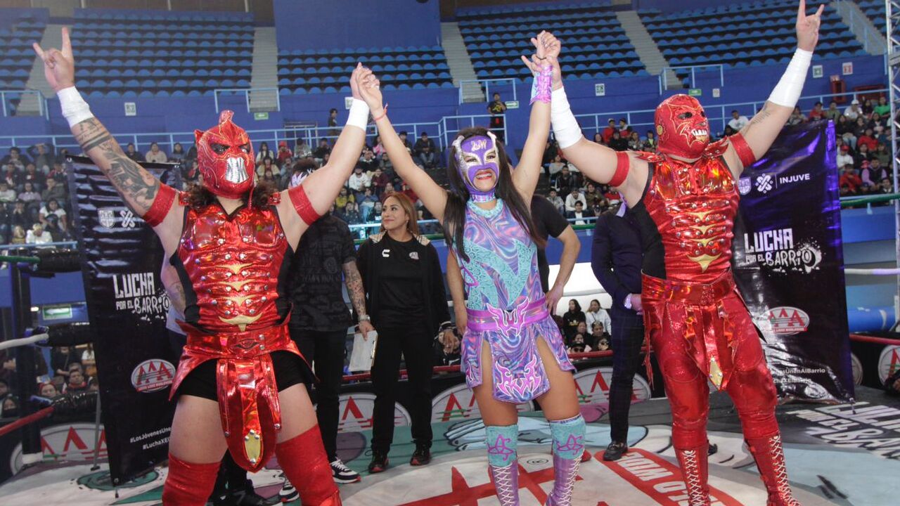 Lucha llibre
