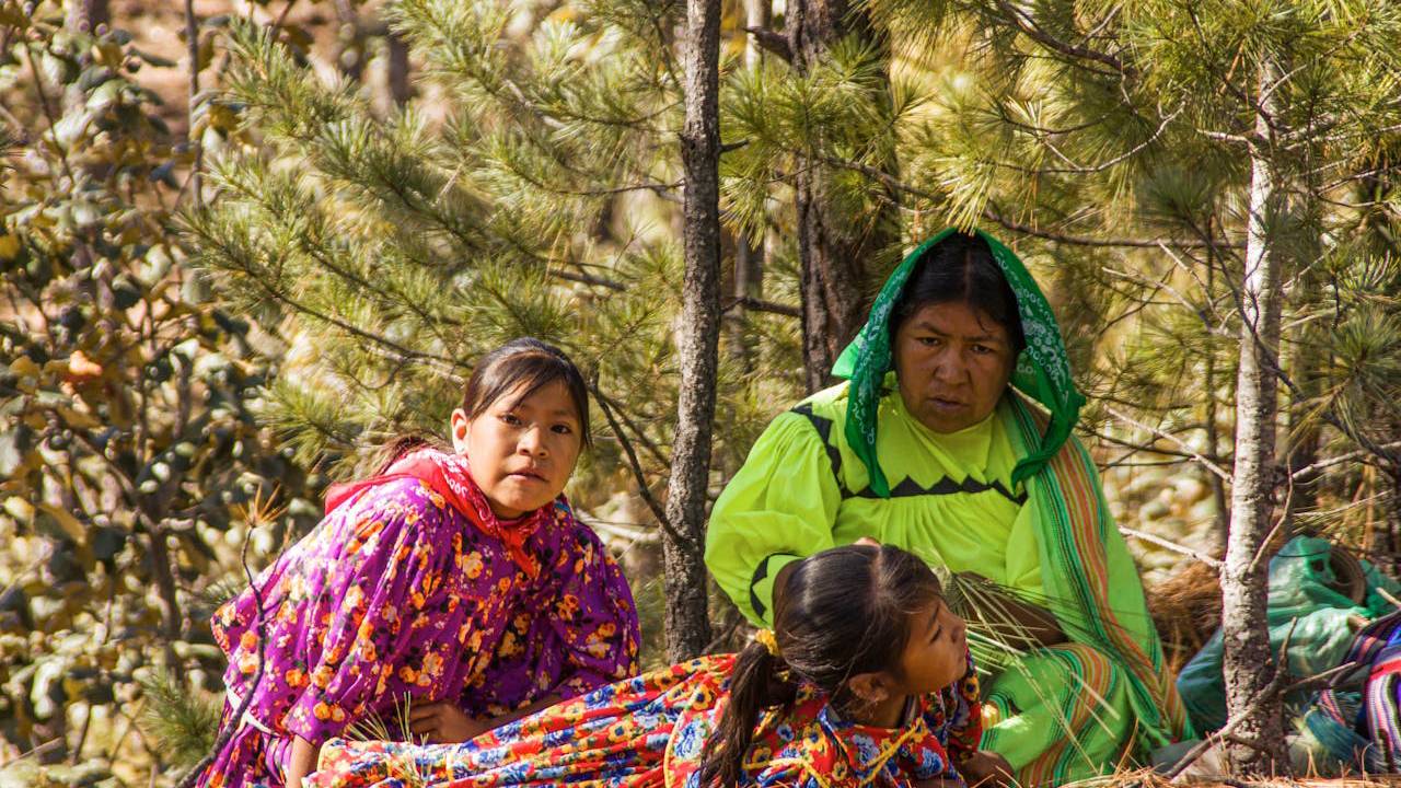 Así son los rarámuris, los ‘Pies ligeros’ de la Sierra Tarahumara 