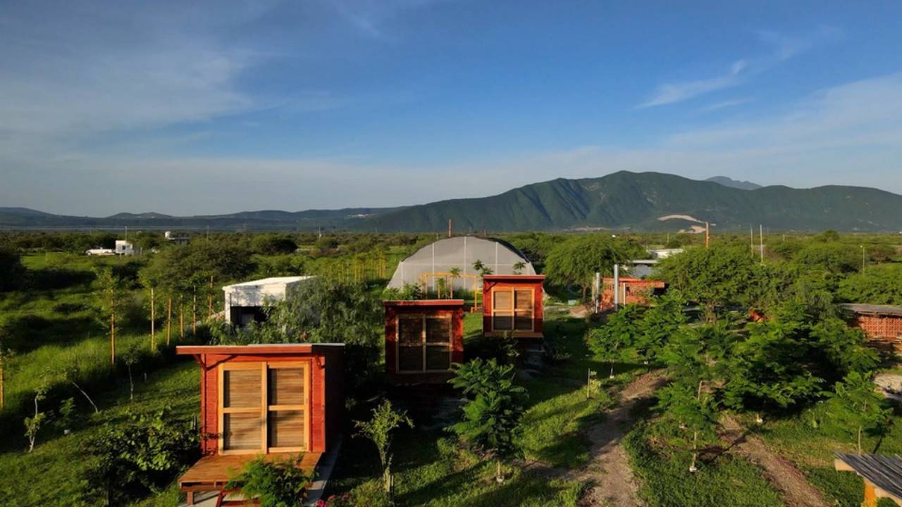 En el corazón de Jalisco se encuentra una joya ecoturística: Safa Farms, un eco-hotel singular que une una hermosa granja con una experiencia sustentable única. : El encantador eco-hotel que no te puedes perder en Jalisco