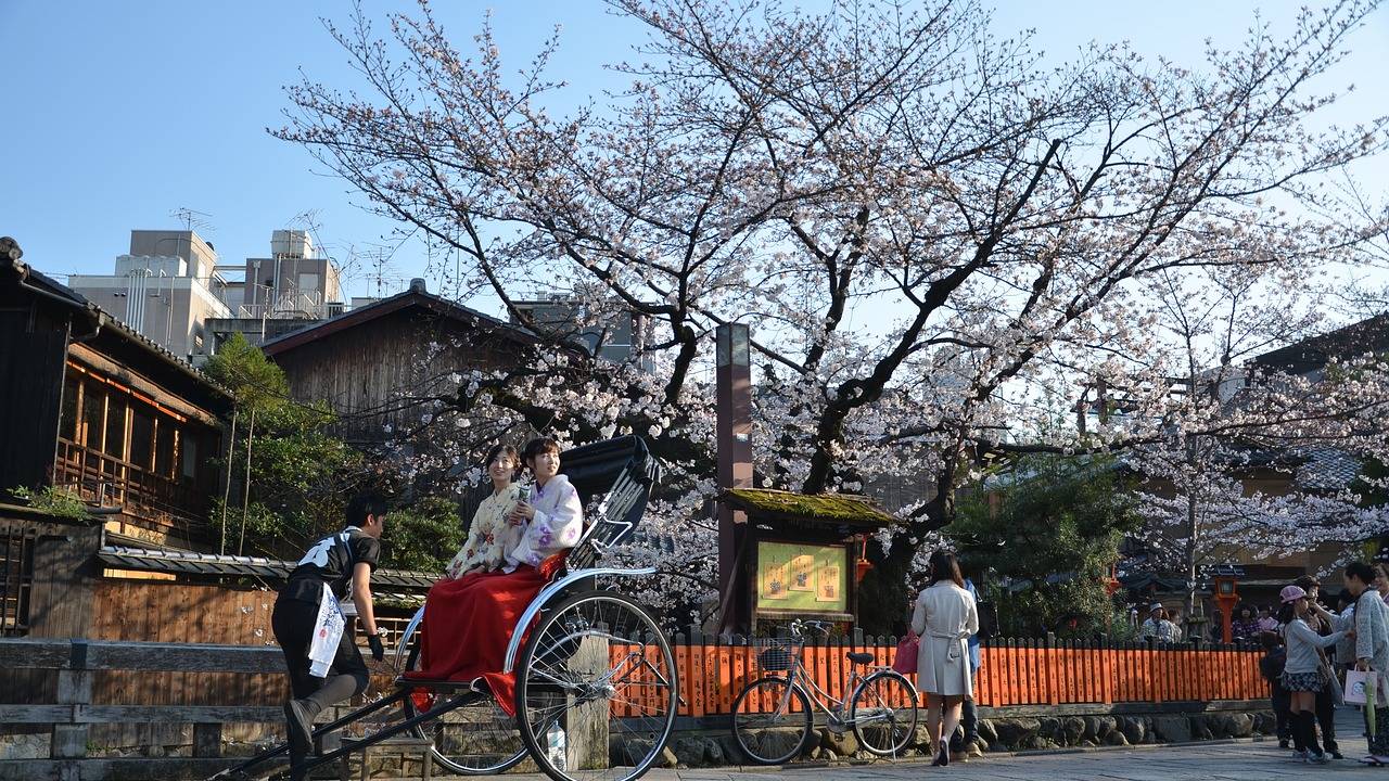 Festival Aki Matsuri